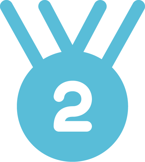 Medalla de segundo lugar